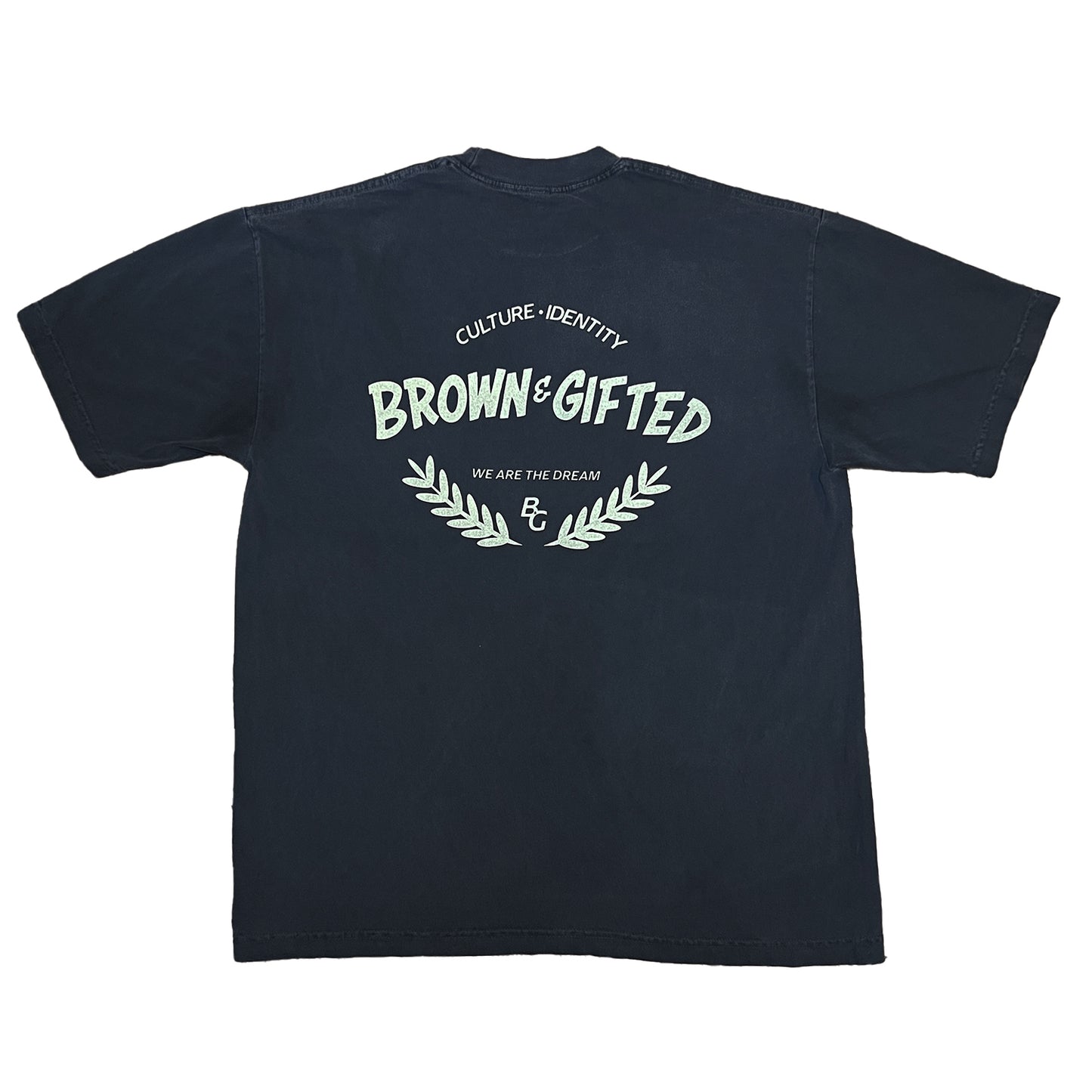 Brown and Gifted: We Are The Dream (Vintage Black)
